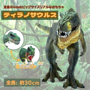 ߋ  A eBmTEX { 30cm TbNX u o[Xf[ v[g  j̎q ǔ Birthday _Ci\[ WI WVbN