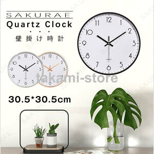 �Ǌ|�����v �|�����v ������� 30.5cm �؍� �� �E�H�[���N���b�N �k�� �Ǌ|�� ���v ���� �A�i���O ������ �傫�� ���v ������ �v���[���g �M�t�g