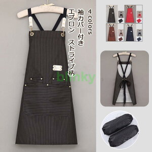 Gv fB[X Y XgCv Jo[t H ۈm Ɩp Ǝ  Lb` JtF 䏊pi   v[g