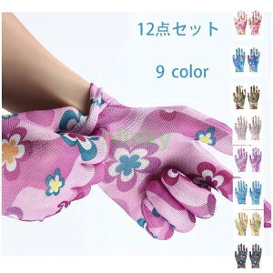 | 12Zbg 5{w vg ԕ  y ҂tBbg Ƃ₷ K[fjO ƒ؉ |ObY