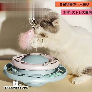 L  ߋ {[] ]^[  炵 ] 邮{[ lV  XgX ^s 