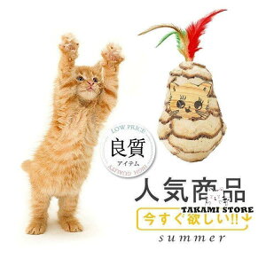 Lp  ܂ XgX  Lpi Lp ybgObY L̂ ybgpi 