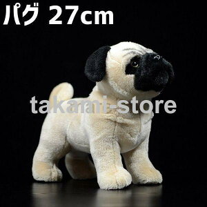 ʂ  ӂ pO ObY NbV 񂿂 Aj}  킢