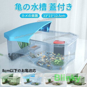 T̐ Wt  J̊y P[X {bNX ڂ ώ@ ঒ Jn  T̊y ώ@  Ki GTM