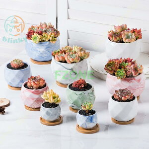 Aؔ Z~bNv^[ Ђ` S/M/LTCY u  Vv  O[  k |󂯎Mt oRj[ Vv Jo[ A