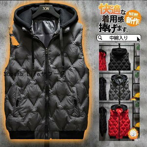 StEGA StxXg _ExXg Y ȃxXg h t[ht WPbg H~ ނ fB[X AEghA ƒ g  LeBO