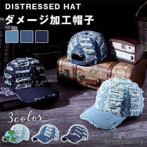 Lbv fj _[W n Xq Y fB[X 􂢃fj Rbg100 싅X  X|[c