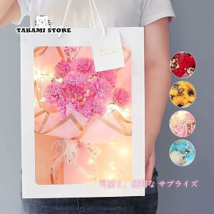 ̓ \[vt[ ԑ v[g LED Cgt u[P   {bNX Mtg v[g a bZ[WJ[ht