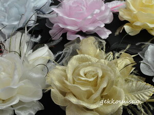 RT[W  Ǝ w Zj[ tH[} ؂₩ S[WX ꂢ [Y Q 킢 HRT[W  bh  ubN Ԃ {[ s Nbv EFf