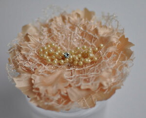 RT[W x[W  w Ǝ Ӊ T p[eB[  [X xA Ss Nbv _A 傫 ؂₩  tH[}  }} c e i Ă΂ 