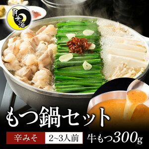 EvĂ̖X  YZbg h݂ 2`3lOyỸ[tIz kCY 300g   蕨 Mtg t@~[  