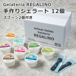 REGALINO  WF[g 12 Ε ACX ΕACX ACXMtg lߍ킹 JbvWF[g WF[gZbg XC[cv[g  WF[glߍ킹 fU[