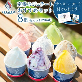 【お中元 ギフト スイーツ】GELATERIA GELABO 定番のジェラートおすすめセット 8個入 アイス ジェラート アイスクリーム 冷たい デザート 冷たいスイーツ 夏のスイーツ スイーツお取り寄せ 詰め合わせ お土産 贈答 贈り物 北海道 送料無料 御中元 夏ギフト 暑中見舞い