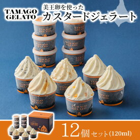【バレンタインデー ギフト スイーツ】函館物語 TAMAGOジェラートセット 12個入 アイス あいす スイーツ ジェラート デザート アイスクリーム ミルク 卵 美王卵 インスタ映え 贈り物 贈答 ご褒美お取り寄せ 北海道 誕生日 冬ギフト 寒中見舞い