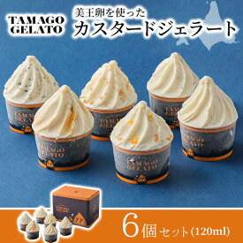 【バレンタインデー ギフト スイーツ】函館物語 TAMAGOジェラートセット 6個入 アイス あいす スイーツ ジェラート デザート アイスクリーム ミルク 卵 美王卵 インスタ映え 贈り物 贈答 ご褒美お取り寄せ 北海道 誕生日 冬ギフト 寒中見舞い