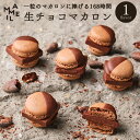 【お中元 ギフト スイーツ】MAMEIL CHOCOLATE MACARON マメイル 生チョコレート マカロン 6個入セット 箱入り お菓子 贈り物 プレゼント チョコレート 北海道 冷凍便 お取り寄せスイーツ お土産 手土産 カカオ バレンタイン ホワイトデー チョコ 詰め合わせ 誕生日 オシャレ