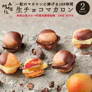 �y��̓� �M�t�g �X�C�[�c�zMAMEIL CHOCOLATE MACARON �}���C�� ���`���R���[�g �}�J���� �`���R���[�g �����n�썂�~ 6���Z�b�g ������ ���َq ���蕨 �v���[���g �`���R �k�C�� �Ⓚ�� ������