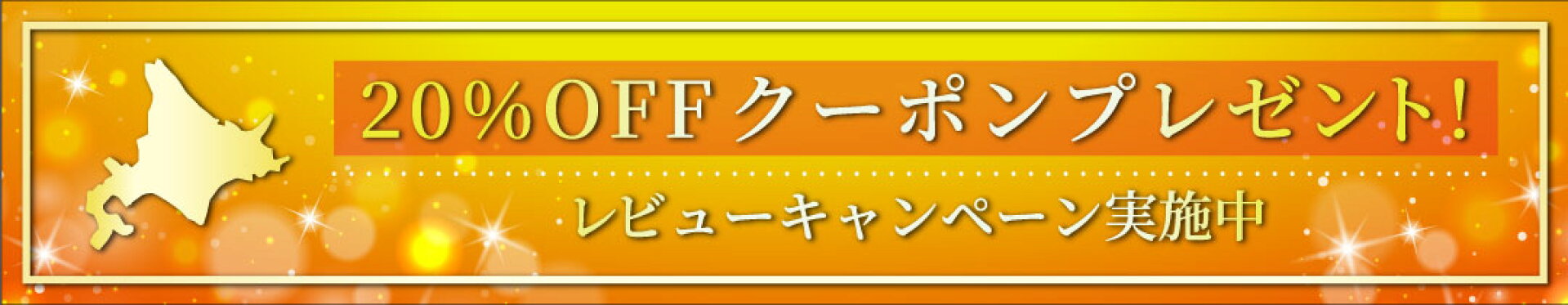 レビューキャンペーン実施中