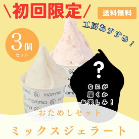 【初回購入限定】mamma おためし 3個セット ジェラート アイスクリーム 手作り ギフト 詰め合わせ おすすめ プレゼント お祝い 内 贈り物 贈答 産地直送 ご当地 バニラ チョコ 塩 苺 いちご 古都華 ほうじ茶 抹茶 大和抹茶 梅 柿 いちじく