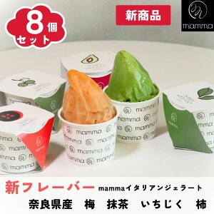 yMtg₲JɁzmamma@Vi 8ZbgACXN[ ACX A\[g WF[g Mtg   v[g XC[c j a ₽ َq   fU[g 