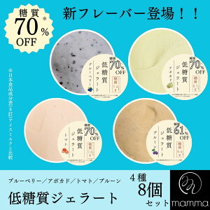 yubNtCf[10{zmamma@ᓜWF[g8Zbg@Vt[o[ J[ ACX  WF[g Mtg A\[g lߍ킹 v[g XC[c  j 