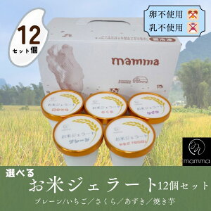 yubNtCf[10{zmamma ăWF[g 12 Zbg Oet[ AM[ Ή WF[g ACXN[  Mtg lߍ킹  v[g j j 