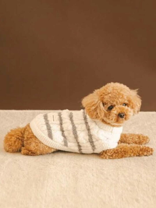 楽天市場】【SALE／30%OFF】【CAT&DOG】ベビモコアランボーダープル 