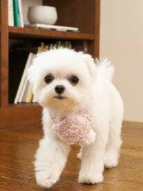 【CAT&DOG】ジェラートメランジマフラー GELATO PIQUE CAT&DOG ジェラートピケ ペット用品 その他のペット用品[Rakuten Fashion]