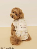 【STAR WARS】【CAT&DOG】クーリングポケット付き総柄プルオーバー GELATO PIQUE CAT&DOG ジェラートピケ…