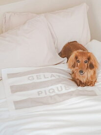 【CAT&DOG】スムーズィー2ボーダーブランケット GELATO PIQUE CAT&DOG ジェラートピケ ペット用品 その他のペット用品 ピンク ホワイト ブルー【送料無料】[Rakuten Fashion]