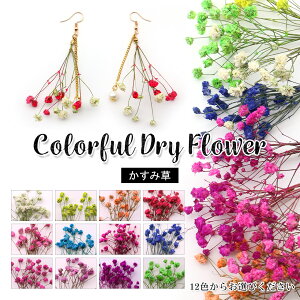 かすみ草 ドライフラワー アクセサリー 手芸用品 クラフトの人気商品 通販 価格比較 価格 Com