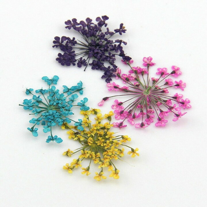 楽天市場 ドライフラワー 押し花 選べる13色 Uvレジン封入花材 3dネイル 爪先を可愛く演出 プロ愛用ジェルネイル通販 Gelne