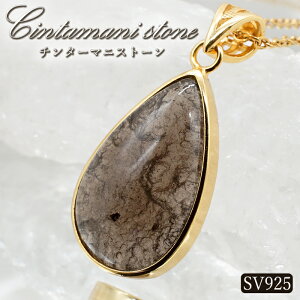 `^[}jXg[ y_ggbv SV925 AJY y _ z  覐 ˔\ \ GlM[  VR p[Xg[ J[Xg[