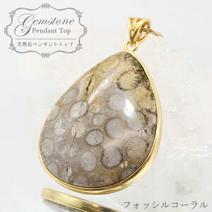 tHbVR[iΎXj y_ggbv SV925 ChlVAY hbv^ VR