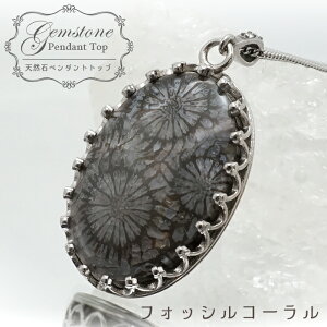 y _ z tHbVR[ y_ggbv ChlVAY hbv I[o ΎX { А VR p[Xg[ J[Xg[