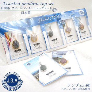 yЃIWiz {΃A\[g y_ggbv s_t 5_Zbg T[WJXeX SUS316L VR p[Xg[