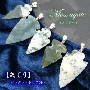 VR΃y_ggbv yz XAQ[g IWi K V lbNX ANZT[ jp J[Xg[