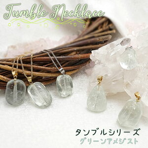 ^u y_ggbv O[AWXgt  y_ggbv Ȗ邳 { А uWY p[Xg[ VR   J[Xg[