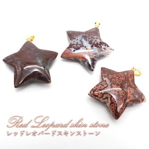 yyVX[p[SALE 30%OFFz y_́z bhIp[hXLXg[ y_ggbv ` ChlVAY { XeX ^ VR p[Xg[ J[Xg[ Na6FU