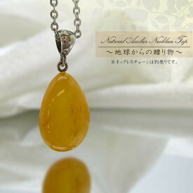 【一点物】 天然琥珀 アンバー ペンダントトップ 黄色 イエロー ネックレス 首飾り necklace 植物の化石 樹脂の化石 リトアニア産 長寿 太陽 天然石 パワーストーン amber【送料無料】 カラーストーン