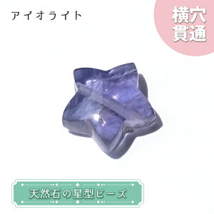 VR ^r[Y ACICg uWY  ђ  r[Y IWiANZT[ nhChޗ y ꗱ z p[Xg[   J[Xg[