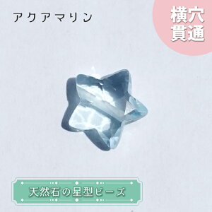 VR ^r[Y ANA} uWY  ђ  r[Y IWiANZT[ nhChޗ y ꗱ z p[Xg[   J[Xg[