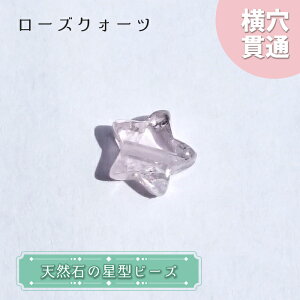 VR ^r[Y [YNH[c uWY  ђ  r[Y IWiANZT[ nhChޗ y ꗱ z p[Xg[   J[Xg[