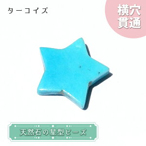 VR ^r[Y X[sOr[eB[^[RCY AJY  ђ  r[Y IWiANZT[ nhChޗ y ꗱ z p[Xg[   J