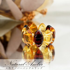 VR Ao[ Xgb`O O CG[ bh O[ }`J[ gAjAY  amber Ả ̉  z VR p[Xg[ J[Xg[