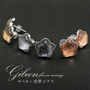 【一点物】 ギベオン gibeon シルバー ピアス 《花型》 約1.2mm SV925 シルバー 天然石 パワーストーン カラーストーン