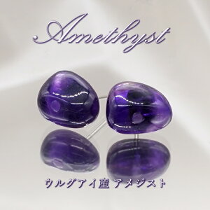 EOACY AWXg  sAX XeX S[h Vo[ 2a { ˂h^ VR΃sAX    VR p[Xg[