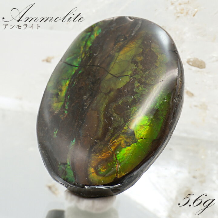楽天市場】アンモライト ルース 5.6g カナダ産 Ammolite 一点物 