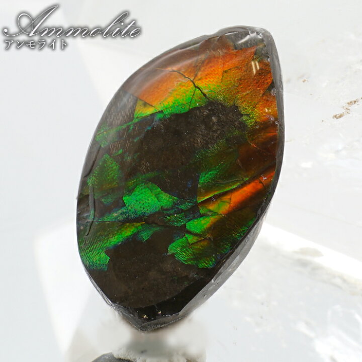 楽天市場】アンモライト ルース カナダ産 Ammolite 一点物  