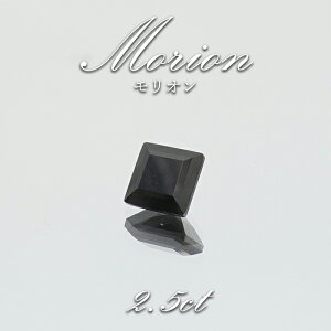 I [X XNGA uWY Morion VR i    VR p[Xg[ J[Xg[